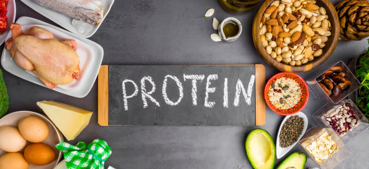 Proteinprodukte, die um eine Tafel mit der Aufschrift Protein angeordnet sind