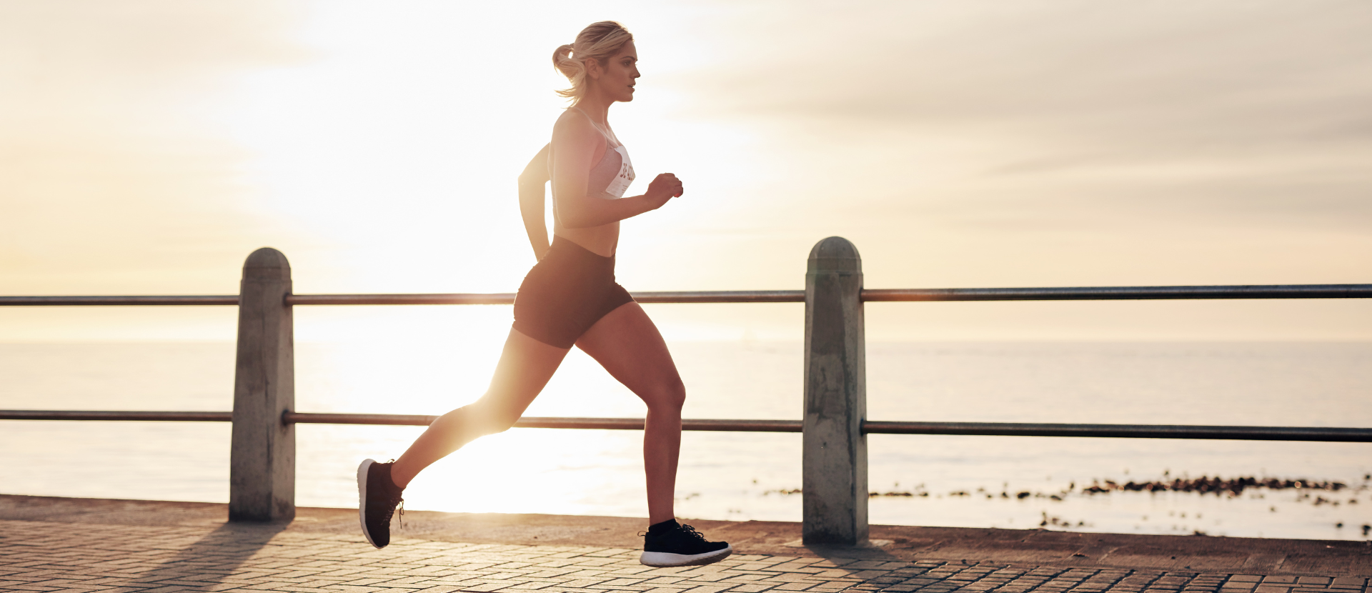 Primabiotic Collagen|