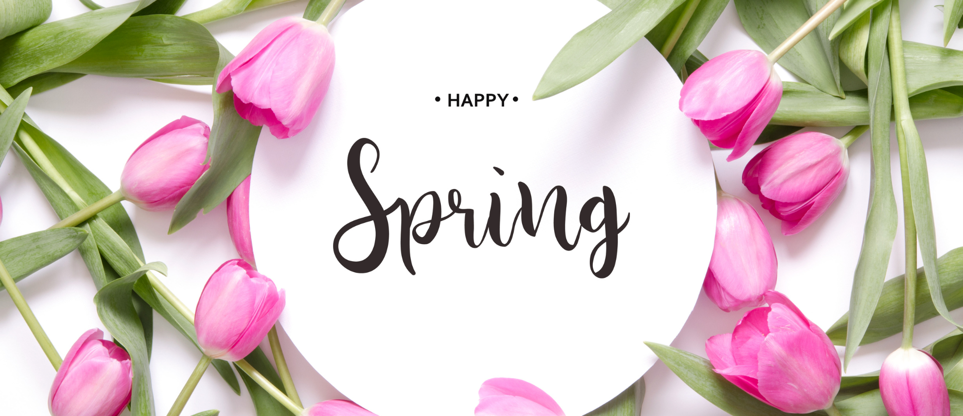 Rosa Tulpen umrahmen Schriftzug „Happy Spring“ auf weißem Hintergrund