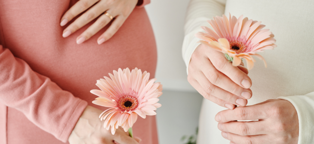 Zwei schwangere Frauen halten zarte rosa Gerbera-Blumen in den Händen