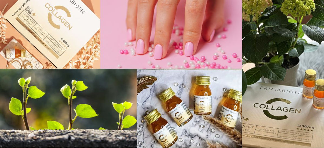 Collage mit Primabiotic Collagen, Pflanzenkeimlingen, gepflegten Händen und grüner Zimmerpflanze