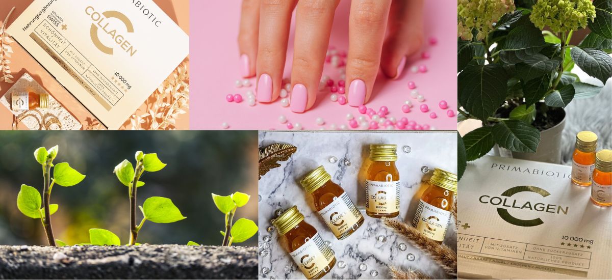 Collage mit Primabiotic Collagen, Pflanzenkeimlingen, gepflegten Händen und grüner Zimmerpflanze