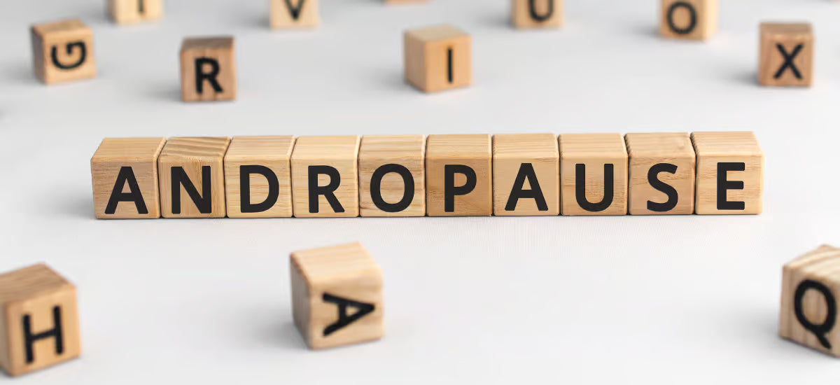 Blöcke, die das Wort „Andropause“ auf einem weißen Hintergrund bilden.