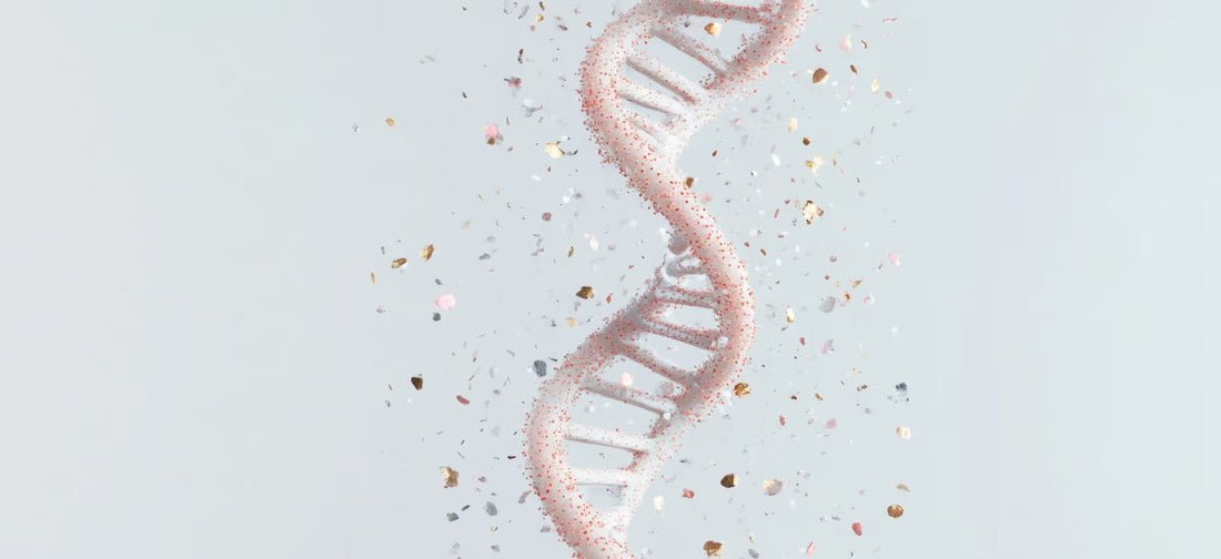 3D-Darstellung einer DNA-Helix mit schwebenden Partikeln symbolisiert Zellregeneration und Wirkung von Kollagen.
