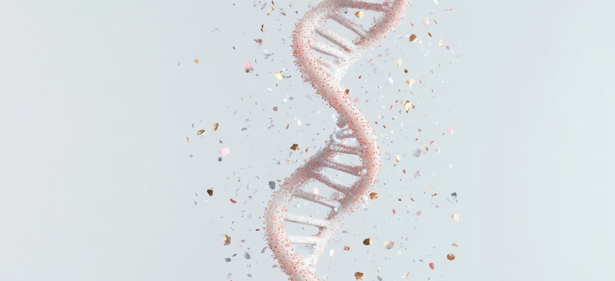 3D-Darstellung einer DNA-Helix mit schwebenden Partikeln symbolisiert Zellregeneration und Wirkung von Kollagen.