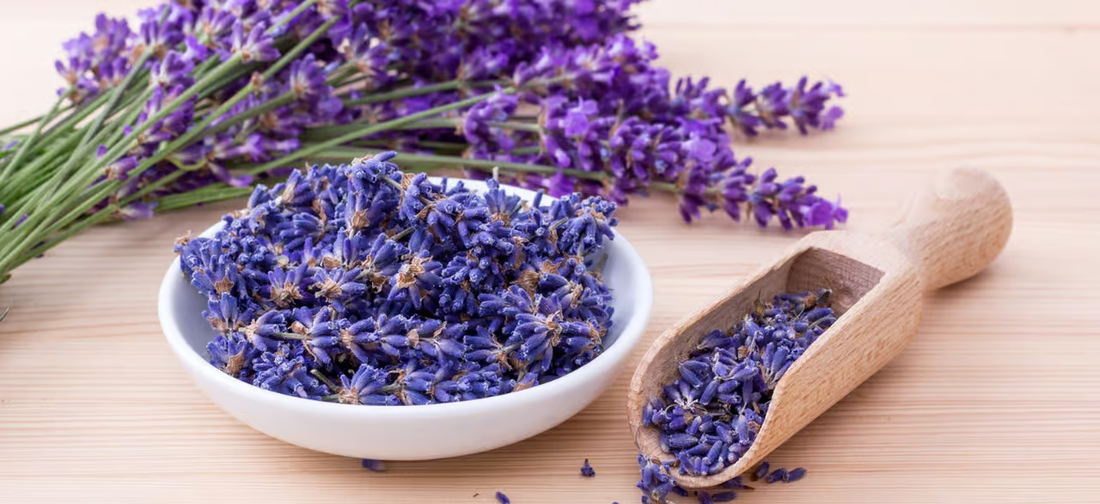getrockneter Lavendel in einer Schale