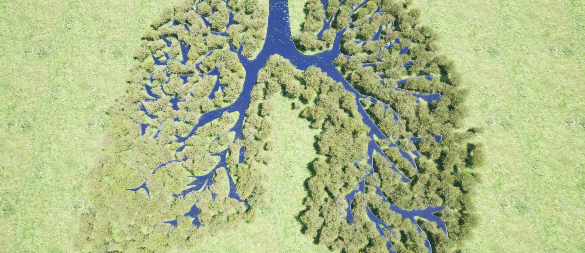 Luftaufnahme eines Waldes in Form von Lungen mit Wasserläufen als Symbol für Atmung und Natur
