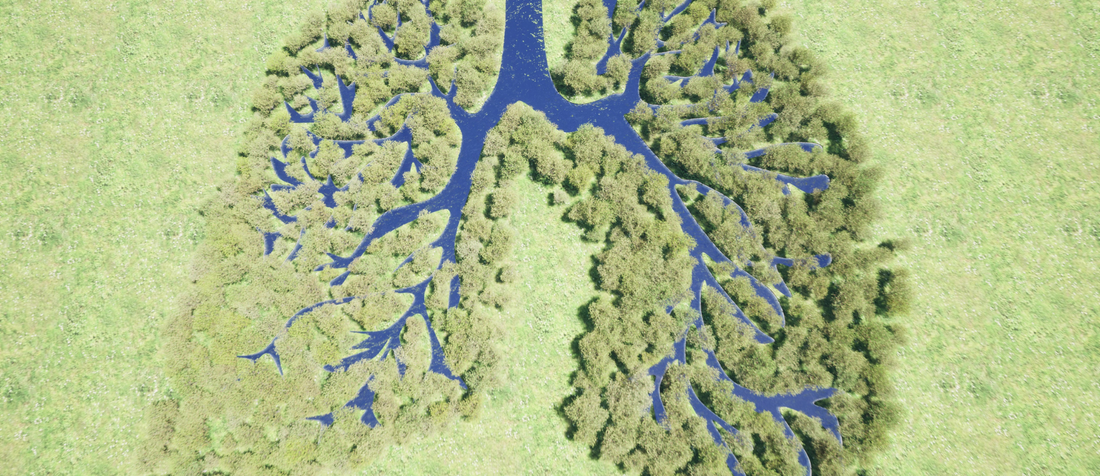 Luftaufnahme eines Waldes in Form von Lungen mit Wasserläufen als Symbol für Atmung und Natur