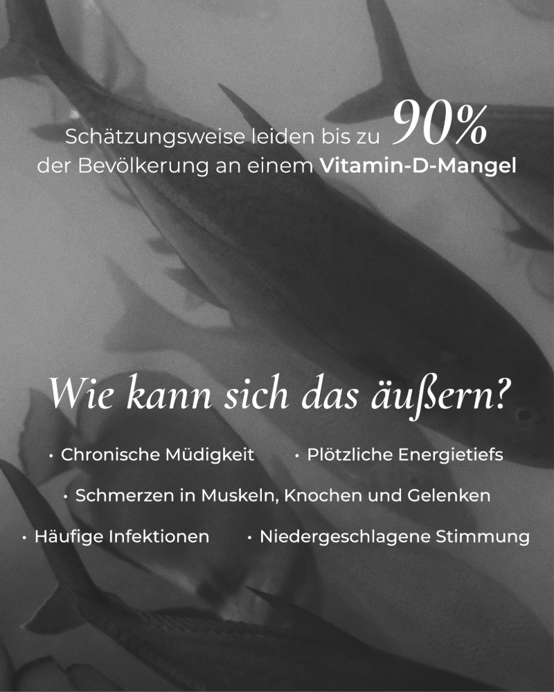 Omega 3 mit Vitamin D3 – Kapseln