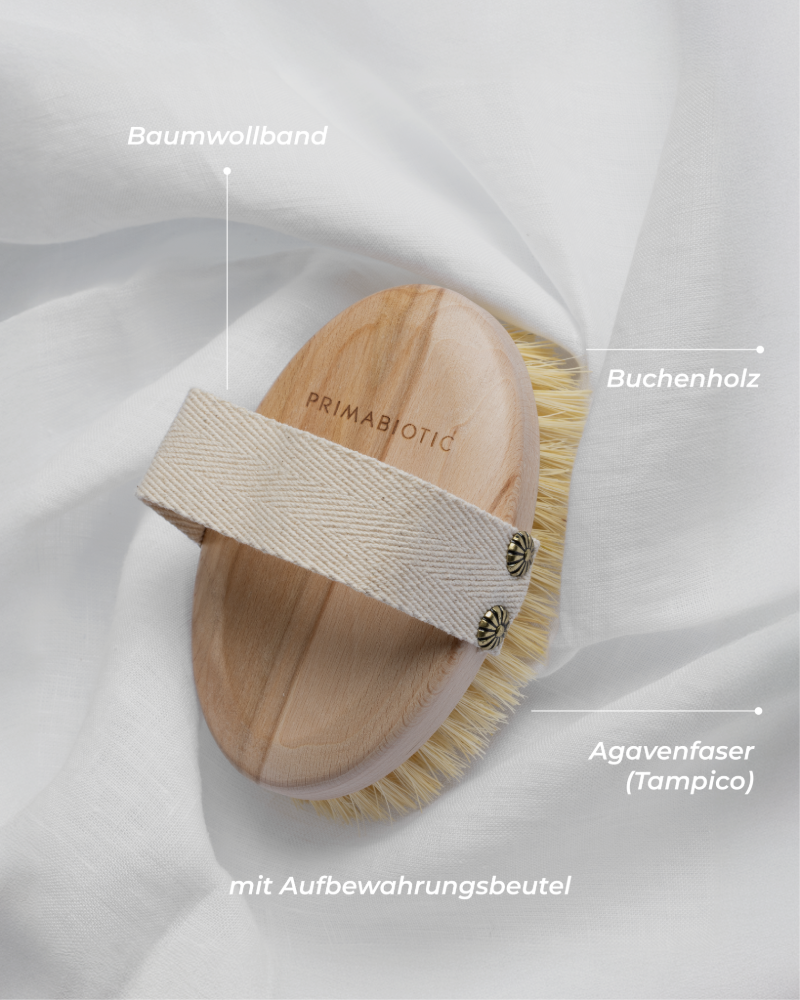 Trockenbürste