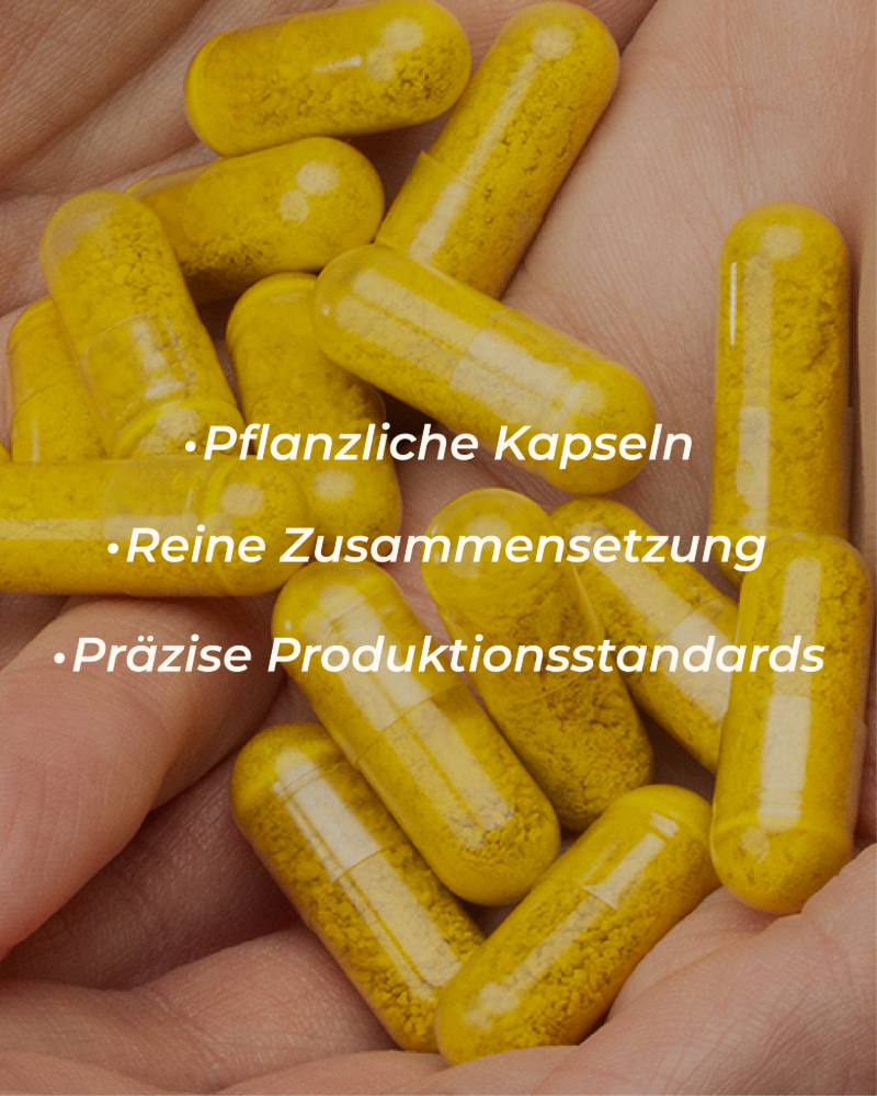 Berberin HCL (60 Vegan Kapseln)
