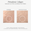 collagen